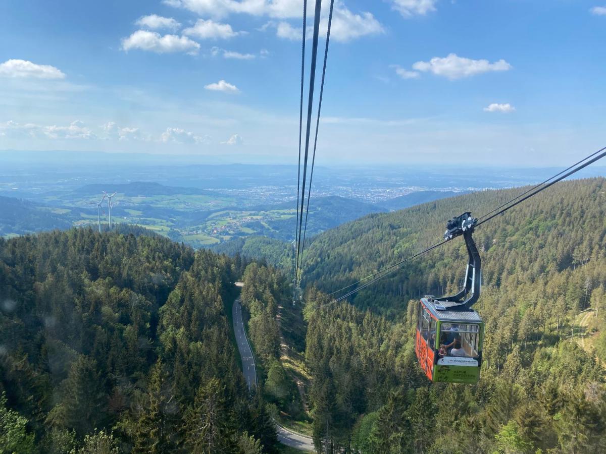 Blackforest Lounge direkt an der Skipiste, Ski in&Ski out, Skischule im Haus, Startpunkt für Wanderungen Feldberg  Exterior foto